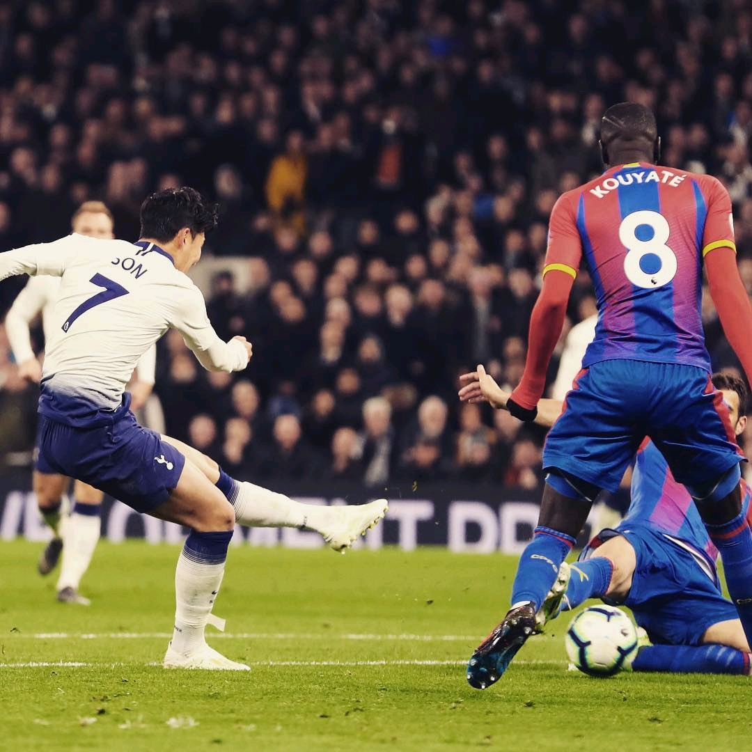 迅速展开了 迅速展开了